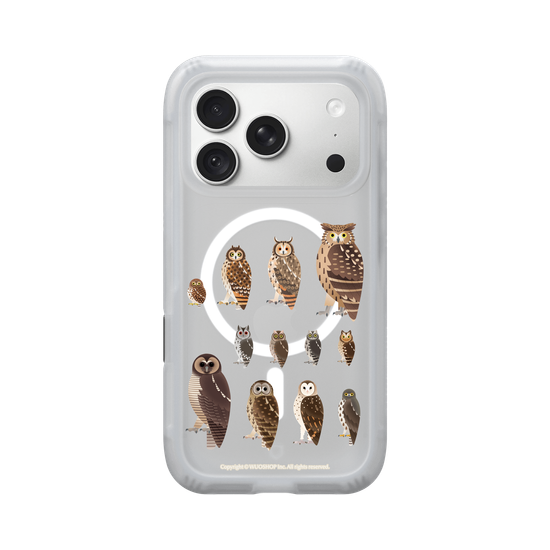 Miniature Field Guide-Owls(Clear)