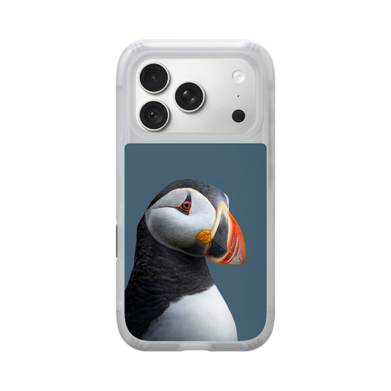 Puffin