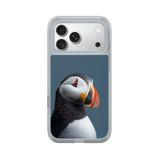 Puffin