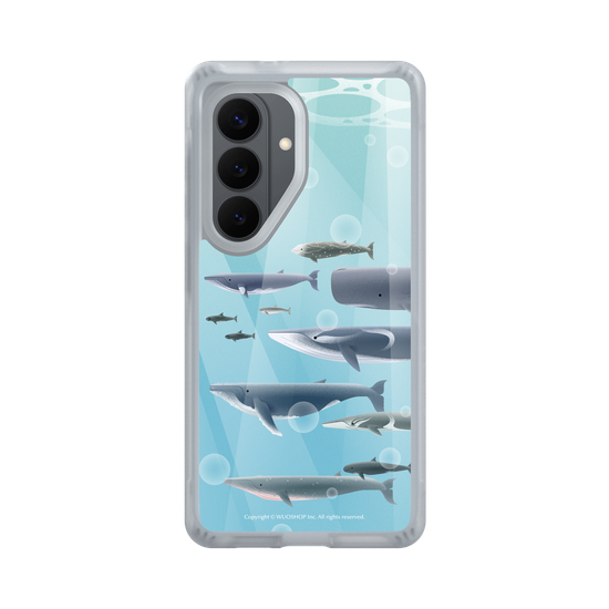 Miniature Field Guide-Whale(Color)