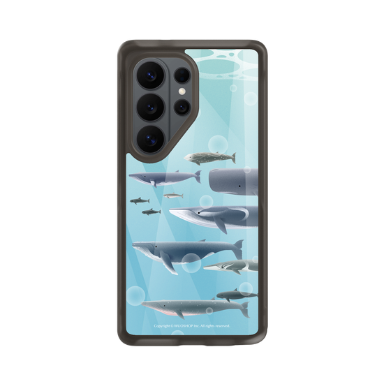 Miniature Field Guide-Whale(Color)