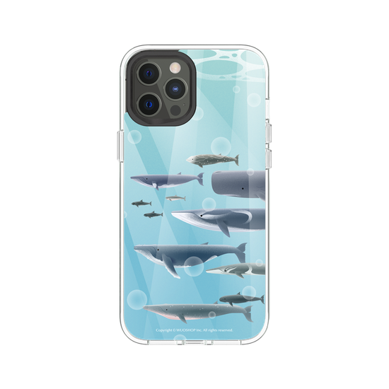 Miniature Field Guide-Whale(Color)