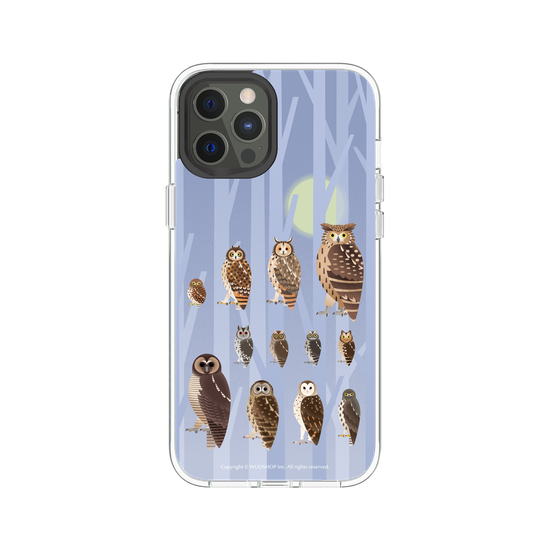 Miniature Field Guide-Owls(Color)