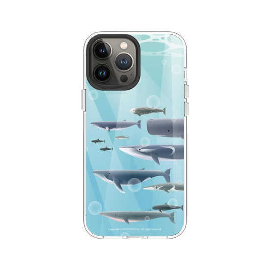 Miniature Field Guide-Whale(Color)