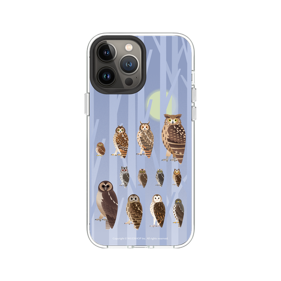 Miniature Field Guide-Owls(Color)