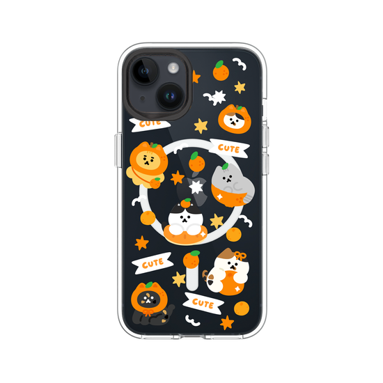 Orange Cat 🍊