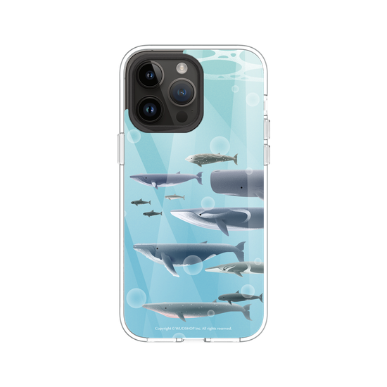 Miniature Field Guide-Whale(Color)