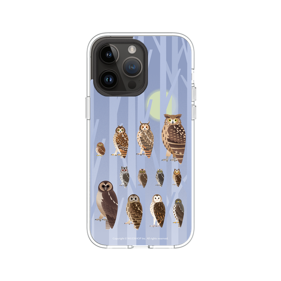 Miniature Field Guide-Owls(Color)