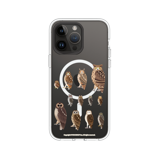 Miniature Field Guide-Owls(Clear)