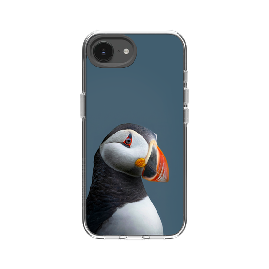 Puffin