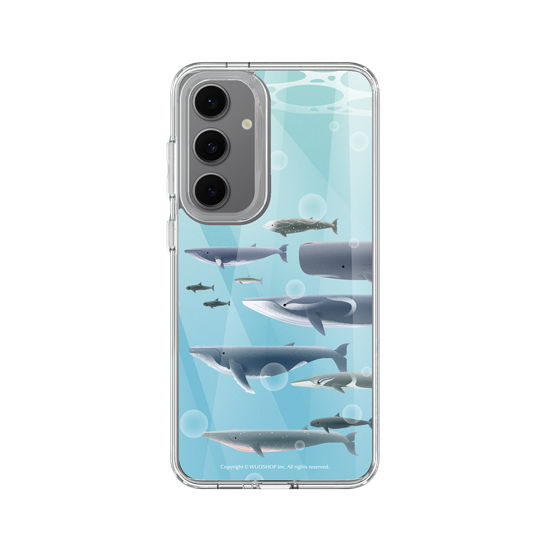 Miniature Field Guide-Whale(Color)