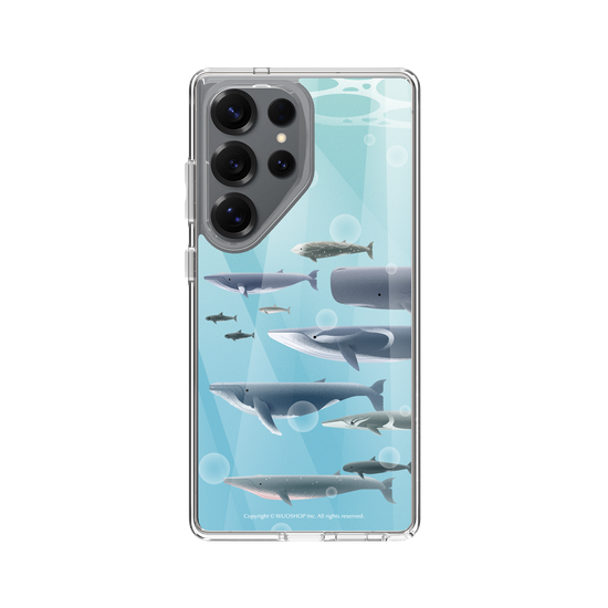 Miniature Field Guide-Whale(Color)