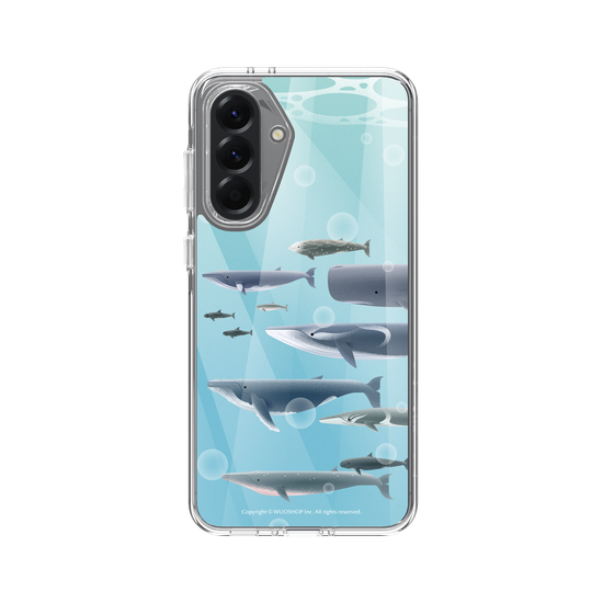 Miniature Field Guide-Whale(Color)
