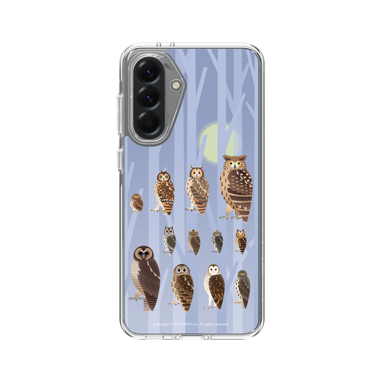 Miniature Field Guide-Owls(Color)