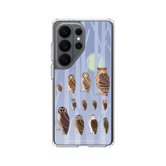 Miniature Field Guide-Owls(Color)