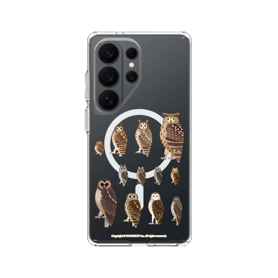 Miniature Field Guide-Owls(Clear)