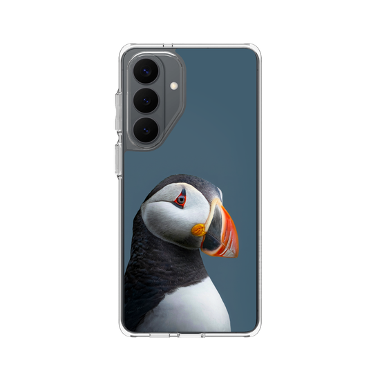 Puffin