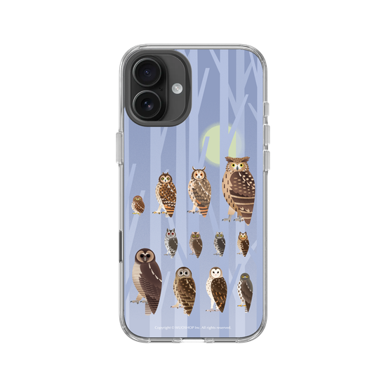 Miniature Field Guide-Owls(Color)