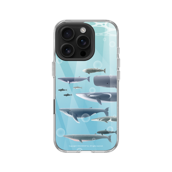 Miniature Field Guide-Whale(Color)