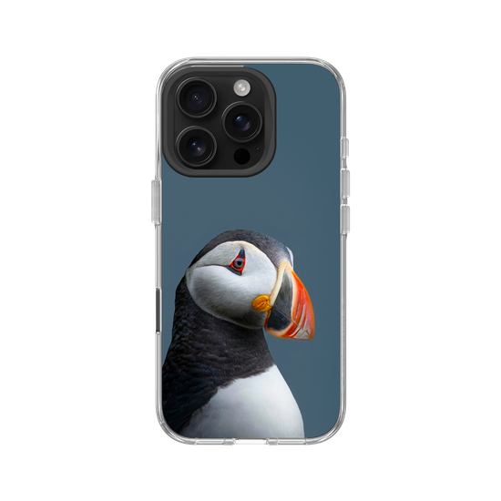 Puffin