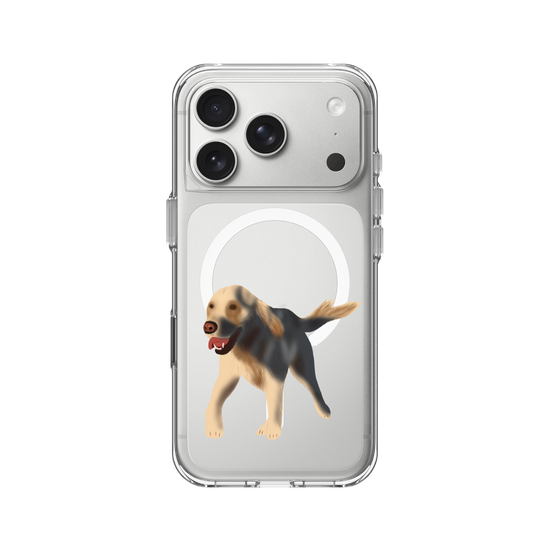 Dog - Golden Retriever