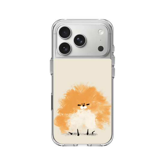 Grumpy Pomeranian