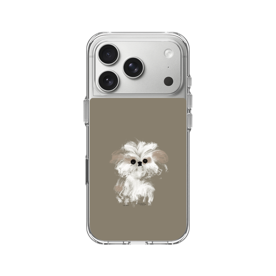 A little Shih Tzu