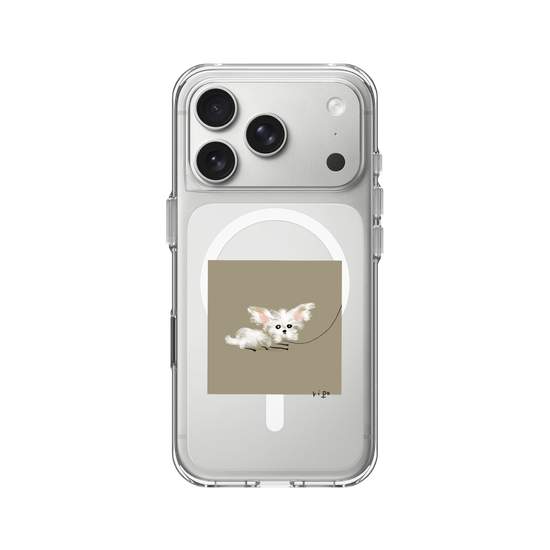 small white dog