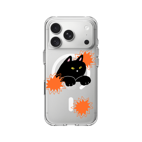 black cat