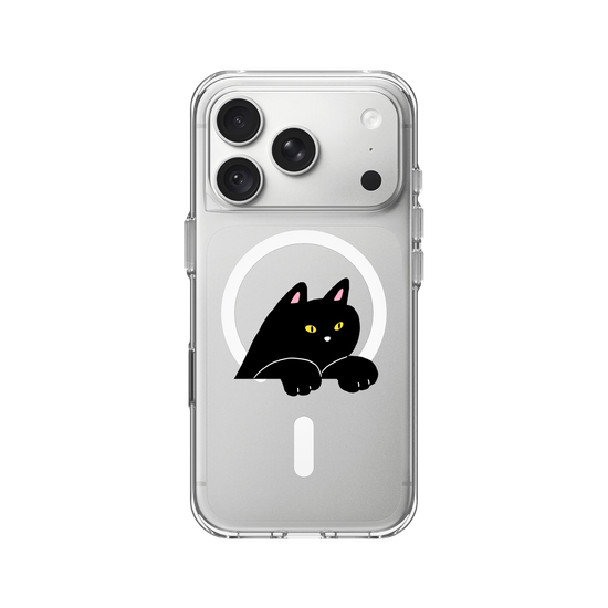 black cat