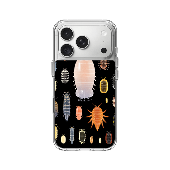 Isopoda