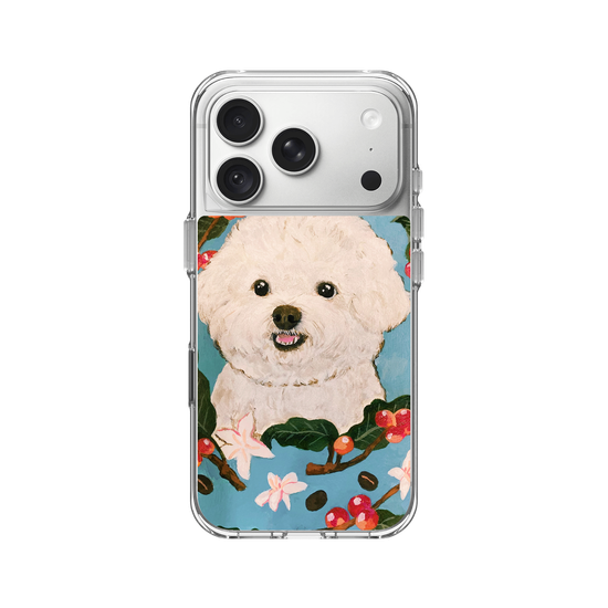 Bichon and Coffee bean