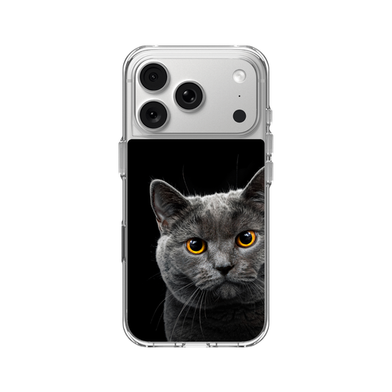 Gato Gris