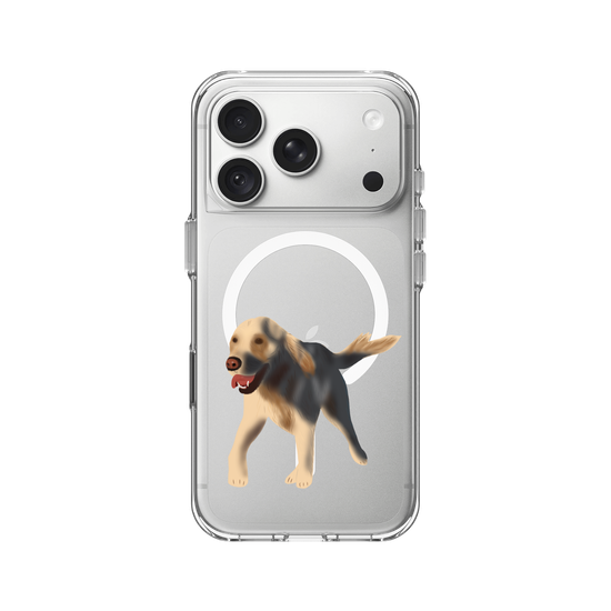 Dog - Golden Retriever