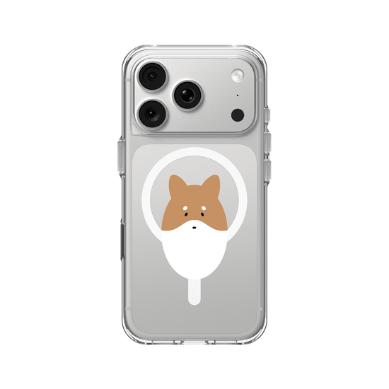 Animals - Shiba Inu Dog