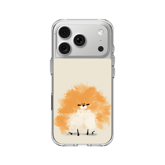 Grumpy Pomeranian