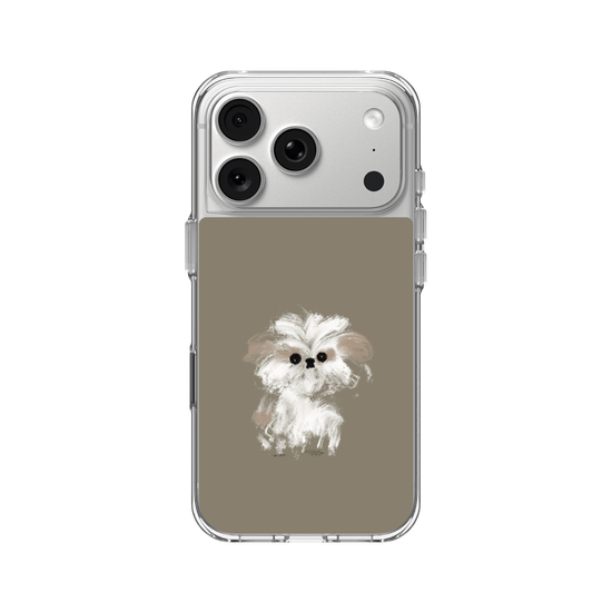 A little Shih Tzu