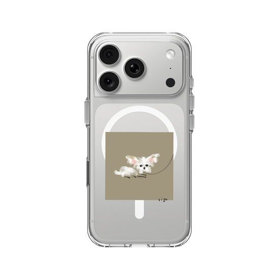 small white dog