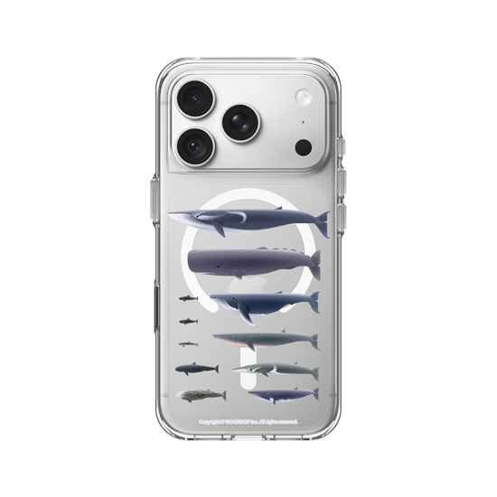 Miniature Field Guide-Whale(Clear)