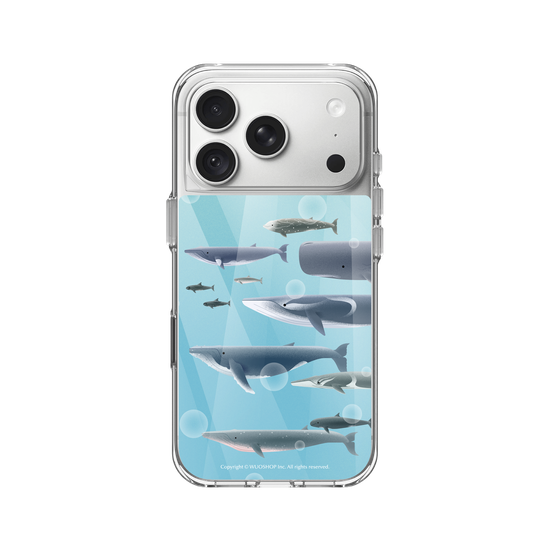 Miniature Field Guide-Whale(Color)