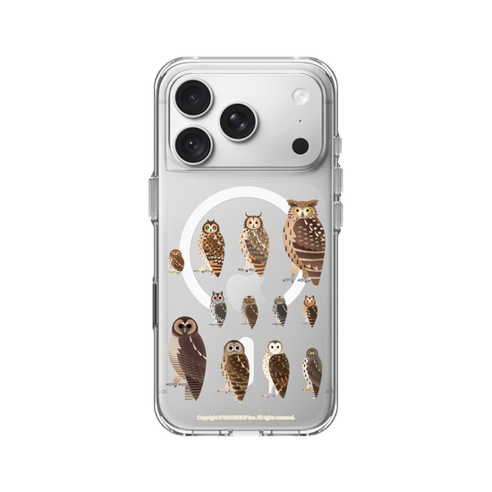 Miniature Field Guide-Owls(Clear)