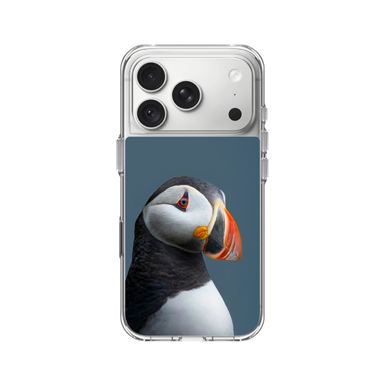 Puffin