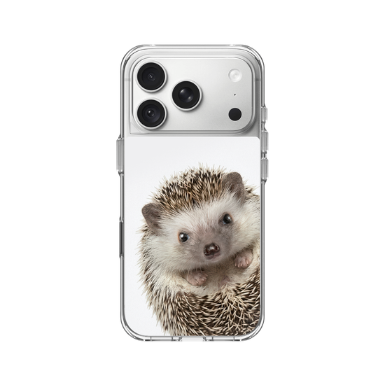 Hedgehog