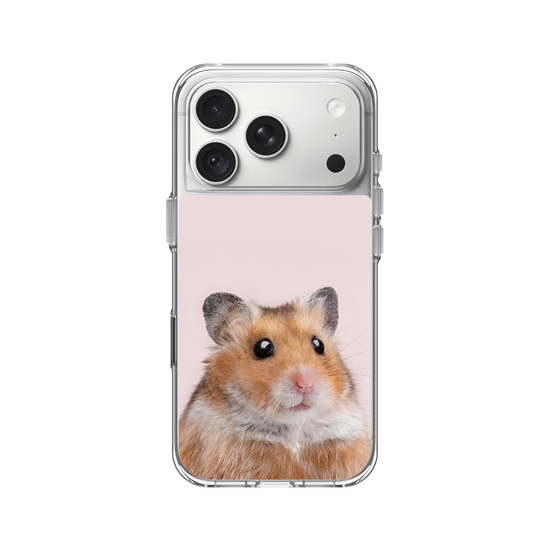 Hamster