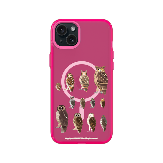 Miniature Field Guide-Owls(Clear)