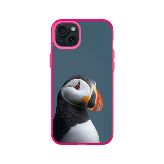 Puffin