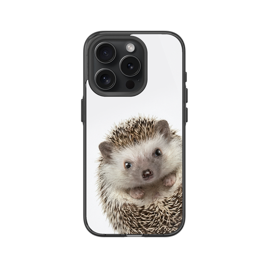Hedgehog