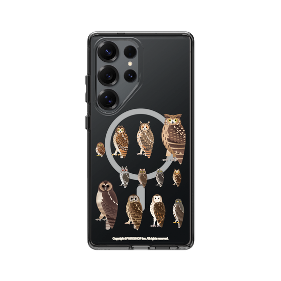 Miniature Field Guide-Owls(Clear)