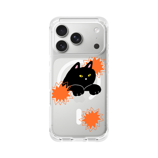 black cat