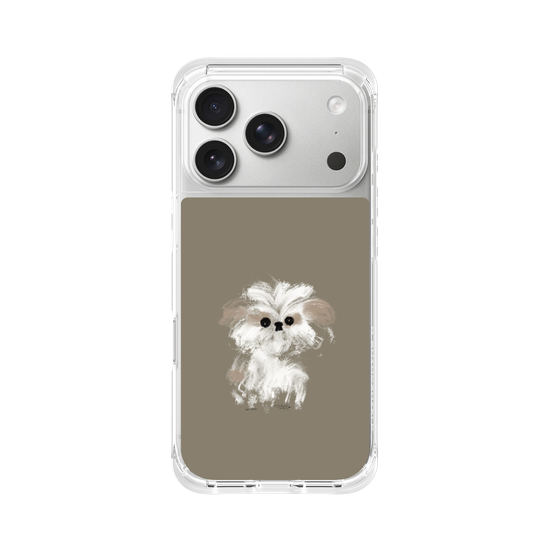 A little Shih Tzu